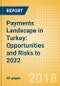 Payments Landscape in Turkey: Opportunities and Risks to 2022 - Product Thumbnail Image