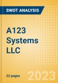 A123 Systems LLC - Strategic SWOT Analysis Review- Product Image
