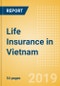Strategic Market Intelligence: Life Insurance in Vietnam - Key trends and Opportunities to 2022 - Product Thumbnail Image