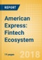 American Express: Fintech Ecosystem - Product Thumbnail Image