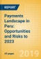 Payments Landscape in Peru: Opportunities and Risks to 2023 - Product Thumbnail Image
