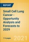 Small Cell Lung Cancer - Opportunity Analysis and Forecasts to 2029 - Product Thumbnail Image