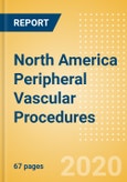 North America Peripheral Vascular Procedures Outlook to 2025 - Carotid Artery Angiography Procedures, Carotid Artery Angioplasty Procedures, Carotid Artery Bare Metal Stenting Procedures and Others- Product Image