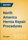 North America Hernia Repair Procedures Outlook to 2025 - Femoral Hernia Repair Procedures, Incisional Hernia Repair Procedures, Inguinal Hernia Repair Procedures and Others- Product Image