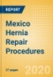 Mexico Hernia Repair Procedures Outlook to 2025 - Femoral Hernia Repair Procedures, Incisional Hernia Repair Procedures, Inguinal Hernia Repair Procedures and Others - Product Thumbnail Image