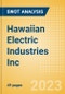 Hawaiian Electric Industries Inc (HE) - Financial and Strategic SWOT Analysis Review - Product Thumbnail Image