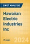 Hawaiian Electric Industries Inc (HE) - Financial and Strategic SWOT Analysis Review - Product Thumbnail Image