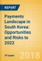 Payments Landscape in South Korea: Opportunities and Risks to 2022 - Product Thumbnail Image