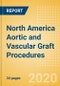 North America Aortic and Vascular Graft Procedures Outlook to 2025 - Aortic Stent Graft Procedures and Vascular Grafts Procedures - Product Thumbnail Image
