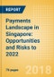 Payments Landscape in Singapore: Opportunities and Risks to 2022 - Product Thumbnail Image