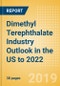 Dimethyl Terephthalate (DMT) Industry Outlook in the US to 2022 - Market Size, Company Share, Price Trends, Capacity Forecasts of All Active and Planned Plants - Product Thumbnail Image