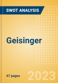 Geisinger - Strategic SWOT Analysis Review- Product Image
