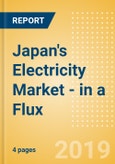 Japan's Electricity Market - in a Flux- Product Image