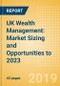 UK Wealth Management: Market Sizing and Opportunities to 2023 - Product Thumbnail Image