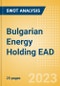 Bulgarian Energy Holding EAD - Strategic SWOT Analysis Review - Product Thumbnail Image