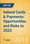 Ireland Cards & Payments: Opportunities and Risks to 2023 - Product Thumbnail Image