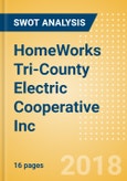 HomeWorks Tri-County Electric Cooperative Inc - Power Plants and SWOT Analysis, 2018 Update- Product Image