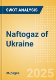 Naftogaz of Ukraine - Strategic SWOT Analysis Review- Product Image