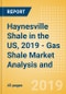 Haynesville Shale in the US, 2019 - Gas Shale Market Analysis and Outlook to 2023 - Product Thumbnail Image