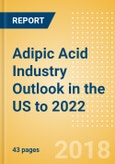 Adipic Acid Industry Outlook in the US to 2022 - Market Size, Company Share, Price Trends, Capacity Forecasts of All Active and Planned Plants- Product Image