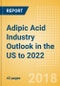 Adipic Acid Industry Outlook in the US to 2022 - Market Size, Company Share, Price Trends, Capacity Forecasts of All Active and Planned Plants - Product Thumbnail Image