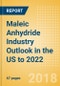 Maleic Anhydride Industry Outlook in the US to 2022 - Market Size, Company Share, Price Trends, Capacity Forecasts of All Active and Planned Plants - Product Thumbnail Image