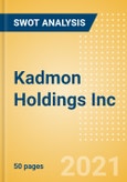 Kadmon Holdings Inc (KDMN) - Financial and Strategic SWOT Analysis Review- Product Image