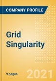 Grid Singularity - Tech Innovator Profile- Product Image