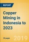 Copper Mining in Indonesia to 2023 - Product Thumbnail Image