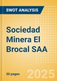 Sociedad Minera El Brocal SAA (BROCALC1) - Financial and Strategic SWOT Analysis Review- Product Image