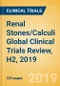 Renal Stones/Calculi Global Clinical Trials Review, H2, 2019 - Product Thumbnail Image