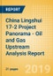 China Lingshui 17-2 Project Panorama - Oil and Gas Upstream Analysis Report - Product Thumbnail Image