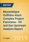 Mozambique Golfinho-Atum Complex Project Panorama - Oil and Gas Upstream Analysis Report - Product Thumbnail Image