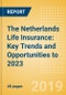 The Netherlands Life Insurance: Key Trends and Opportunities to 2023 - Product Thumbnail Image