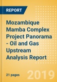 Mozambique Mamba Complex Project Panorama - Oil and Gas Upstream Analysis Report- Product Image