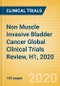 Non Muscle Invasive Bladder Cancer (NMIBC) (Superficial Bladder Cancer) Global Clinical Trials Review, H1, 2020 - Product Thumbnail Image