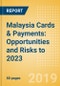 Malaysia Cards & Payments: Opportunities and Risks to 2023 - Product Thumbnail Image