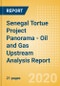 Senegal Tortue (Senegal) Project Panorama - Oil and Gas Upstream Analysis Report - Product Thumbnail Image