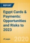 Egypt Cards & Payments: Opportunities and Risks to 2023 - Product Thumbnail Image