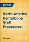 North America Dental Bone Graft Procedures Outlook to 2025 - Product Thumbnail Image