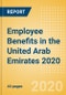 Employee Benefits in the United Arab Emirates 2020 - Product Thumbnail Image