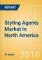 Styling Agents (Haircare) Market in North America - Outlook to 2022: Market Size, Growth and Forecast Analytics - Product Thumbnail Image