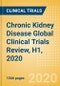 Chronic Kidney Disease (Chronic Renal Failure) Global Clinical Trials Review, H1, 2020 - Product Thumbnail Image