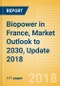 Biopower in France, Market Outlook to 2030, Update 2018 - Capacity, Generation, Investment Trends, Regulations and Company Profiles - Product Thumbnail Image