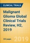 Malignant Glioma Global Clinical Trials Review, H2, 2019 - Product Thumbnail Image