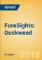 ForeSights: Duckweed - The aquatic weed with potential as a sustainable "superfood" ingredient - Product Thumbnail Image
