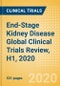End-Stage Kidney Disease (End-Stage Renal Disease or ESRD) Global Clinical Trials Review, H1, 2020 - Product Thumbnail Image