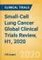 Small-Cell Lung Cancer Global Clinical Trials Review, H1, 2020 - Product Thumbnail Image