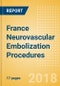 France Neurovascular Embolization Procedures Outlook to 2025 - Product Thumbnail Image