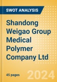 Shandong Weigao Group Medical Polymer Company Ltd (1066) - Financial and Strategic SWOT Analysis Review- Product Image